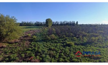 Finca 6 ha en Colonia Elena, San Rafael – Casa a reciclar