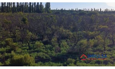 Finca 6 ha en Colonia Elena, San Rafael – Casa a reciclar