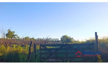 Finca 6 ha en Colonia Elena, San Rafael – Casa a reciclar