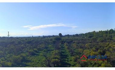 Finca 6 ha en Colonia Elena, San Rafael – Casa a reciclar