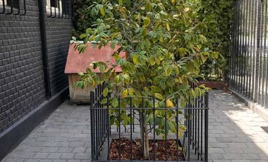 Casa en arriendo  en PROVIDENCIA