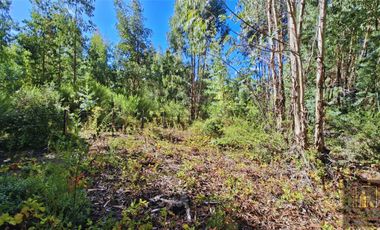 Parcela en venta  en SANTA JUANA