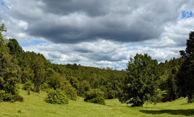 Casa en venta  en PAILLACO