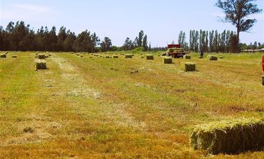 Agrícola en Venta en Gran Oportunidad Se Vende Campo Agrícola 14 hec en el Sector Parrar el Retiro