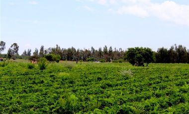 Parcela en Venta en Gran Oportunidad Se Vende Campo Agrícola 14 hec en el Sector Parrar el Retiro