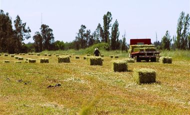 Parcela en Venta en Gran Oportunidad Se Vende Campo Agrícola 14 hec en el Sector Parrar el Retiro
