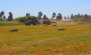 Parcela en Venta en Gran Oportunidad Se Vende Campo Agrícola 14 hec en el Sector Parrar el Retiro