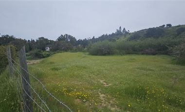 Parcela en Venta en Litueche