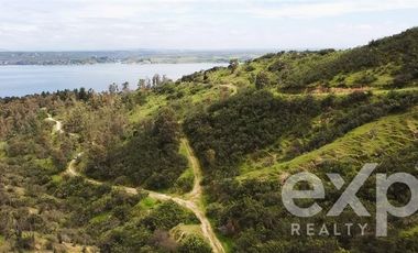 Sitio en Venta en LAS BALSAS LAGO RAPEL
