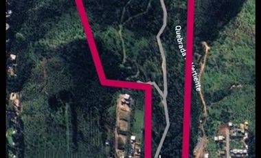 Sitio en Venta en LAS BALSAS LAGO RAPEL