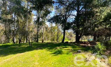 Sitio en Venta en LAS BALSAS LAGO RAPEL