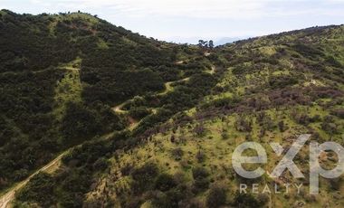 Sitio en Venta en LAS BALSAS LAGO RAPEL