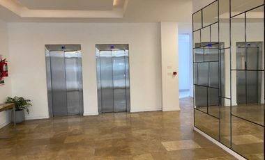 OFICINA 4 DESPACHOS EN ALQ. DELTA CENTER