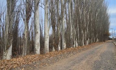 VENTA LOTE BARRIO RESIDENCIAL AYRES DEL LIMAY