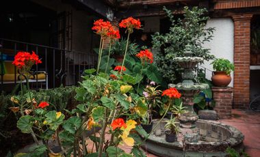 Casa en venta cerca de CU, pintoresca, amplia, segura, estilo colonial y jardín