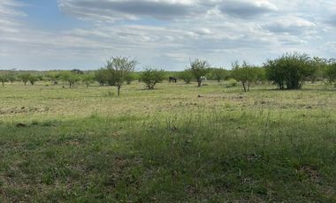 VENTA TERRENO LA GRANJA LOS MOLLES 6062m CORDOBA