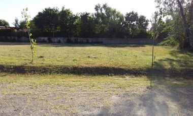 Venta lote Barrio cerrado El Alamo Benavidez 700m2 escriturable sin expensas