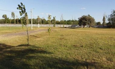 Venta lote Barrio cerrado El Alamo Benavidez 700m2 escriturable sin expensas