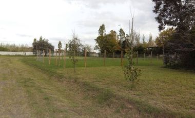 Venta lote Barrio cerrado El Alamo Benavidez 700m2 escriturable sin expensas