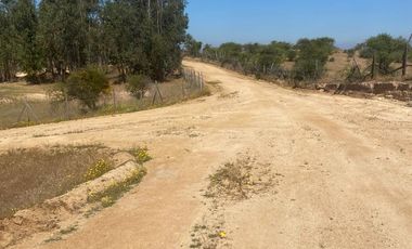 VENTA TERRENO - SITIO 5000MTS Las Cabras