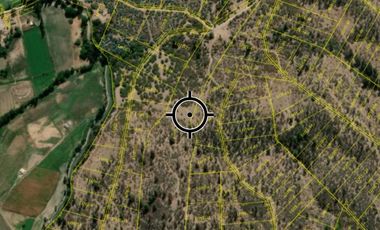 VENTA TERRENO - SITIO 5000MTS Las Cabras