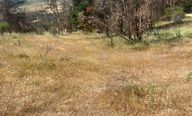 VENTA TERRENO - SITIO 5000MTS Las Cabras