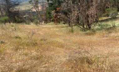 VENTA TERRENO - SITIO 5000MTS Las Cabras
