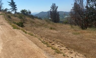 VENTA TERRENO - SITIO 5000MTS Las Cabras