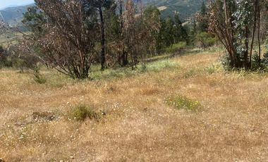 VENTA TERRENO - SITIO 5000MTS Las Cabras