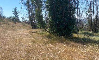 VENTA TERRENO - SITIO 5000MTS Las Cabras