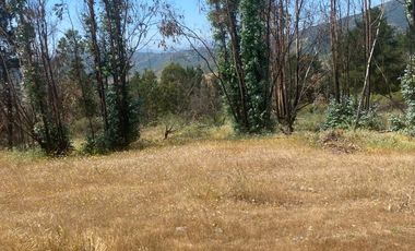 VENTA TERRENO - SITIO 5000MTS Las Cabras