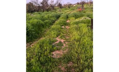 EXCELENTE VENTA DE TERRENO EN QUEBRADA ESCOBARES
