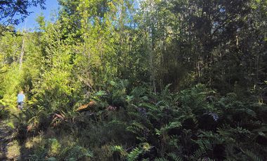 1 HECTÁREA DE TERRENO EN BUTALCURA, DALCAHUE - CHILOÉ
