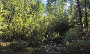 1 HECTÁREA DE TERRENO EN BUTALCURA, DALCAHUE - CHILOÉ