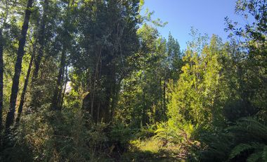 1 HECTÁREA DE TERRENO EN BUTALCURA, DALCAHUE - CHILOÉ