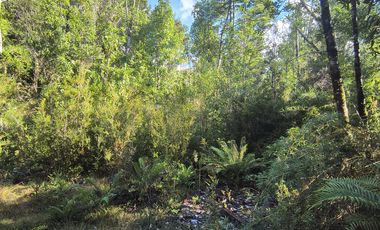 1 HECTÁREA DE TERRENO EN BUTALCURA, DALCAHUE - CHILOÉ