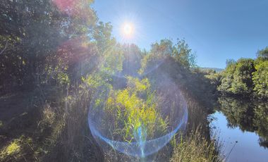 OPORTUNIDAD-TERRENO RÍO NOTUÉ- 1 HECTAREA