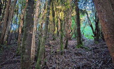 OPORTUNIDAD-TERRENO RÍO NOTUÉ- 1 HECTAREA