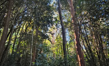 OPORTUNIDAD-TERRENO RÍO NOTUÉ- 1 HECTAREA