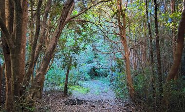 OPORTUNIDAD-TERRENO RÍO NOTUÉ- 1 HECTAREA