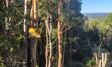 OPORTUNIDAD-TERRENO RÍO NOTUÉ- 1 HECTAREA
