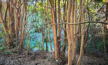 OPORTUNIDAD-TERRENO RÍO NOTUÉ- 1 HECTAREA