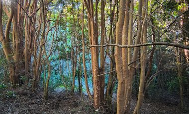 OPORTUNIDAD-TERRENO RÍO NOTUÉ- 1 HECTAREA