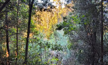 OPORTUNIDAD-TERRENO RÍO NOTUÉ- 1 HECTAREA