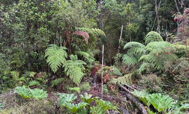 PARCELA DE 7450M2 CON ACCESO PRIVADO EN CHONCHI, CHILOÉ
