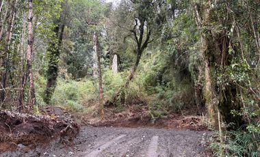 PARCELA DE 7450M2 CON ACCESO PRIVADO EN CHONCHI, CHILOÉ