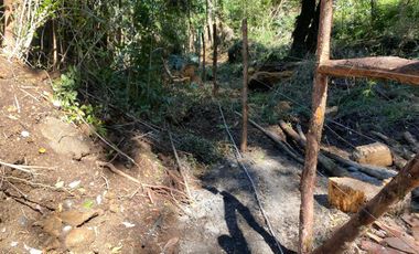 PARCELA DE 7450M2 CON ACCESO PRIVADO EN CHONCHI, CHILOÉ