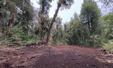 PARCELA DE 7450M2 CON ACCESO PRIVADO EN CHONCHI, CHILOÉ