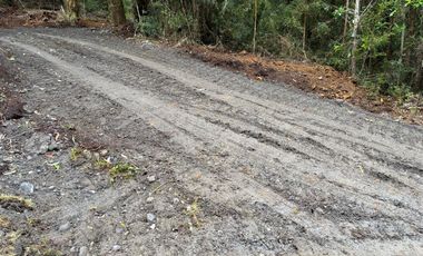 PARCELA DE 7450M2 CON ACCESO PRIVADO EN CHONCHI, CHILOÉ