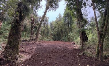 PARCELA DE 7450M2 CON ACCESO PRIVADO EN CHONCHI, CHILOÉ
